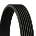 V Belt (7Pk1629)