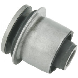 Differential mount bushing