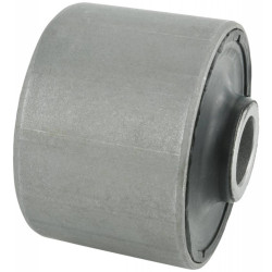 Bushing, front lower control arm (hydro)