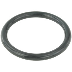 Throttle Body O-Ring - Febest RINGAH-009