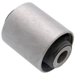 Differential mount bushing