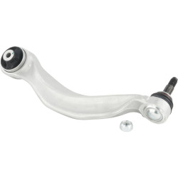 Left lower front arm