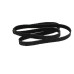 Nissan GT-R Serpentine Drive Belt 11720-JF00A