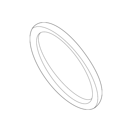 O-Ring
