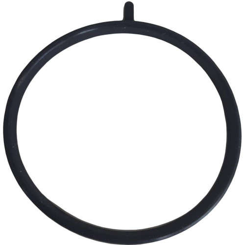 Throttle body o-ring