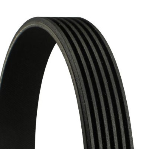 Ribbed Belt