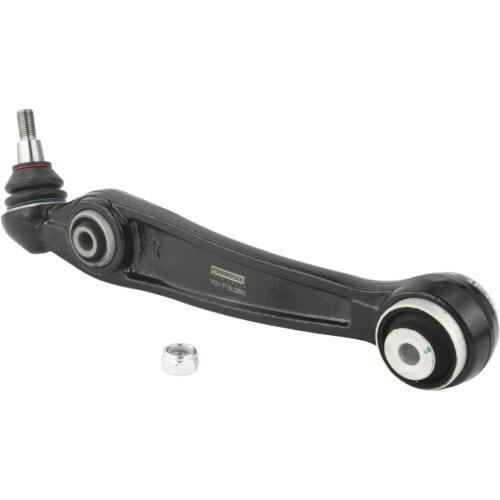 Right lower front arm