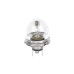 BOSCH Bulb 24V 55/50W R2 TRUCKLIGHT