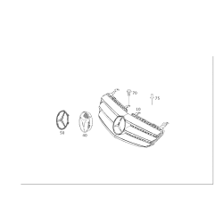 Front Hood Radiator Grille - Mercedes-Benz R-Class W251 2006-2008