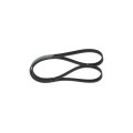 BOSCH 1987947926 V-Ribbed Belt