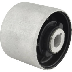 differential mount bushing