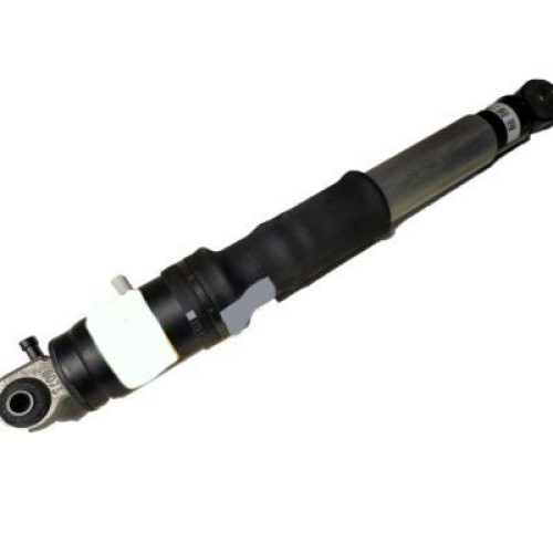 GENERAL MOTORS 23487279 Shock Absorber, Rear Leveling