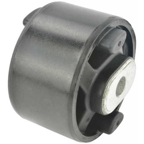 Rear differential bushing
