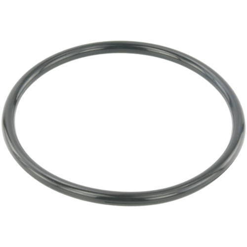 Throttle body o-ring