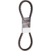 Accessory Drive Belt - DAYCO AP25 Premium V Belt A25