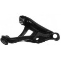 right lower front arm