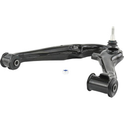 left lower front arm