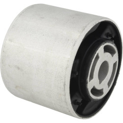 differential mount bushing