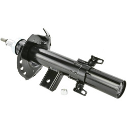 shock absorber rear right gas.twin tube