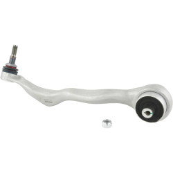 Right lower front arm