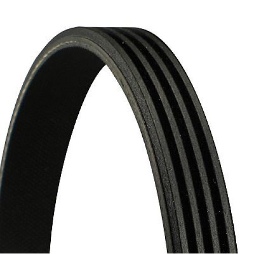 Ribbed Belt