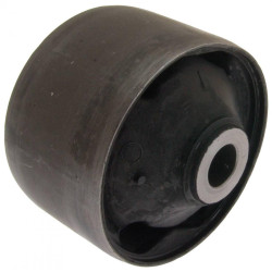 Rear differential bushing