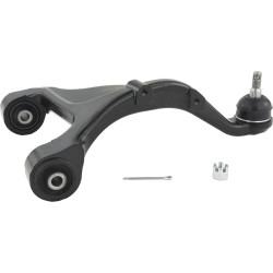 right upper rear arm