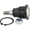 Ball Joint Rear Upper Arm - Febest 2120-CRR