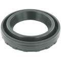 seal ring, spark plug tube
