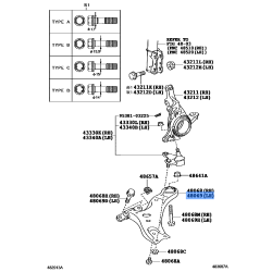 Arm(L),Lower