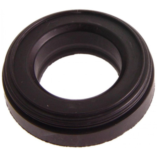 Seal ring, spark plug tube