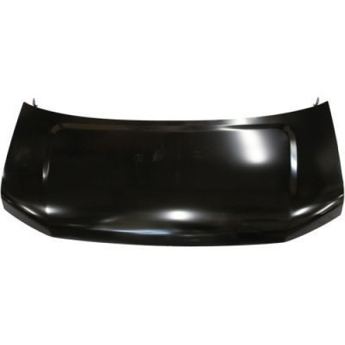 Bonnet