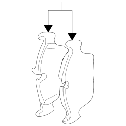 ATE Brake Pad Set - BMW 330Ci Z4 330i 330xi (Front)