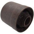 bushing, rear trailing arm