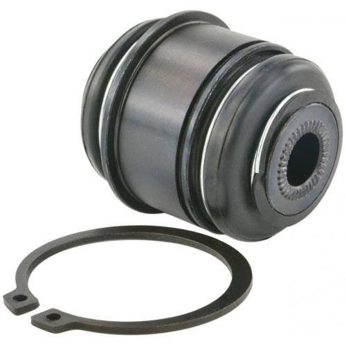 Bushing, rear lower control arm