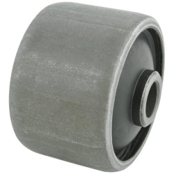 Differential mount bushing (hydro)
