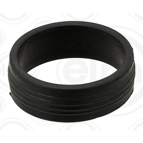 Elastomer Seal