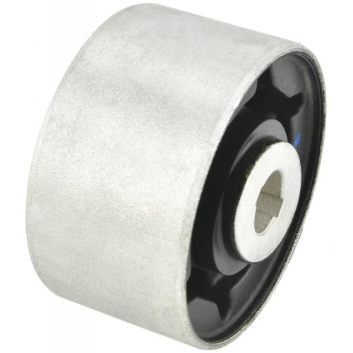 Rear differential bushing