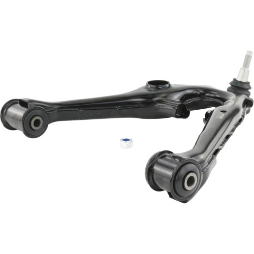 right lower front arm