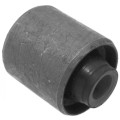 Bushing, front lower control arm