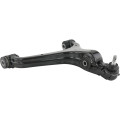 right lower front arm