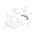 GM Radiator Inlet Hose (Upper) 25700766 NEW OEM