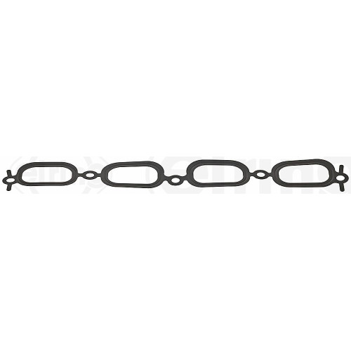 Gasket Cylinder Head