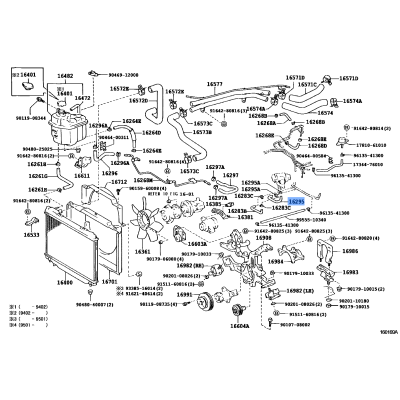 LEX RADIATOR HOSE