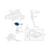 Coller Egr-Usa