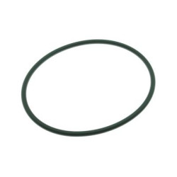 GENERAL MOTORS 22682111 Fuel Pump O-Ring