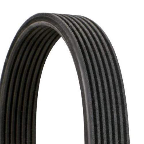 Ribbed Belt