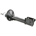 FEBEST Shock Absorber 24661261R for DACIA, NISSAN, RENAULT Rear Axle Gas Pressure, Twin-Tube, Suspension Strut