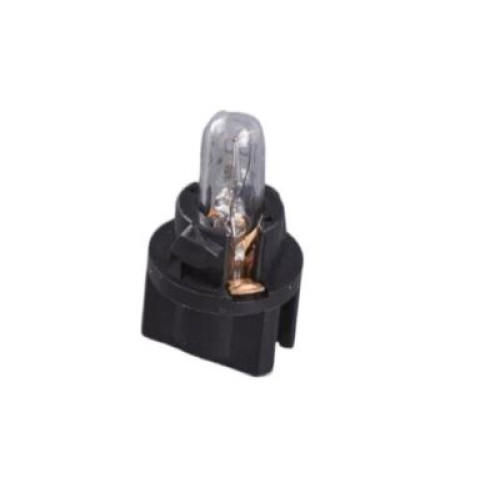 Bulb