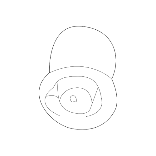 BOGE Front Lower Control Arm Bushing - BMW 31129068753
